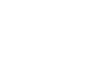 white logo of the insider expert.