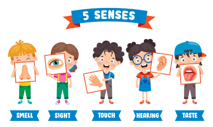 Bring a setting alive with five senses