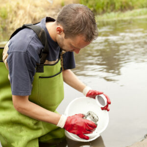 Target audiences can be green collar workers