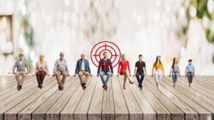 Target Audience Demographics